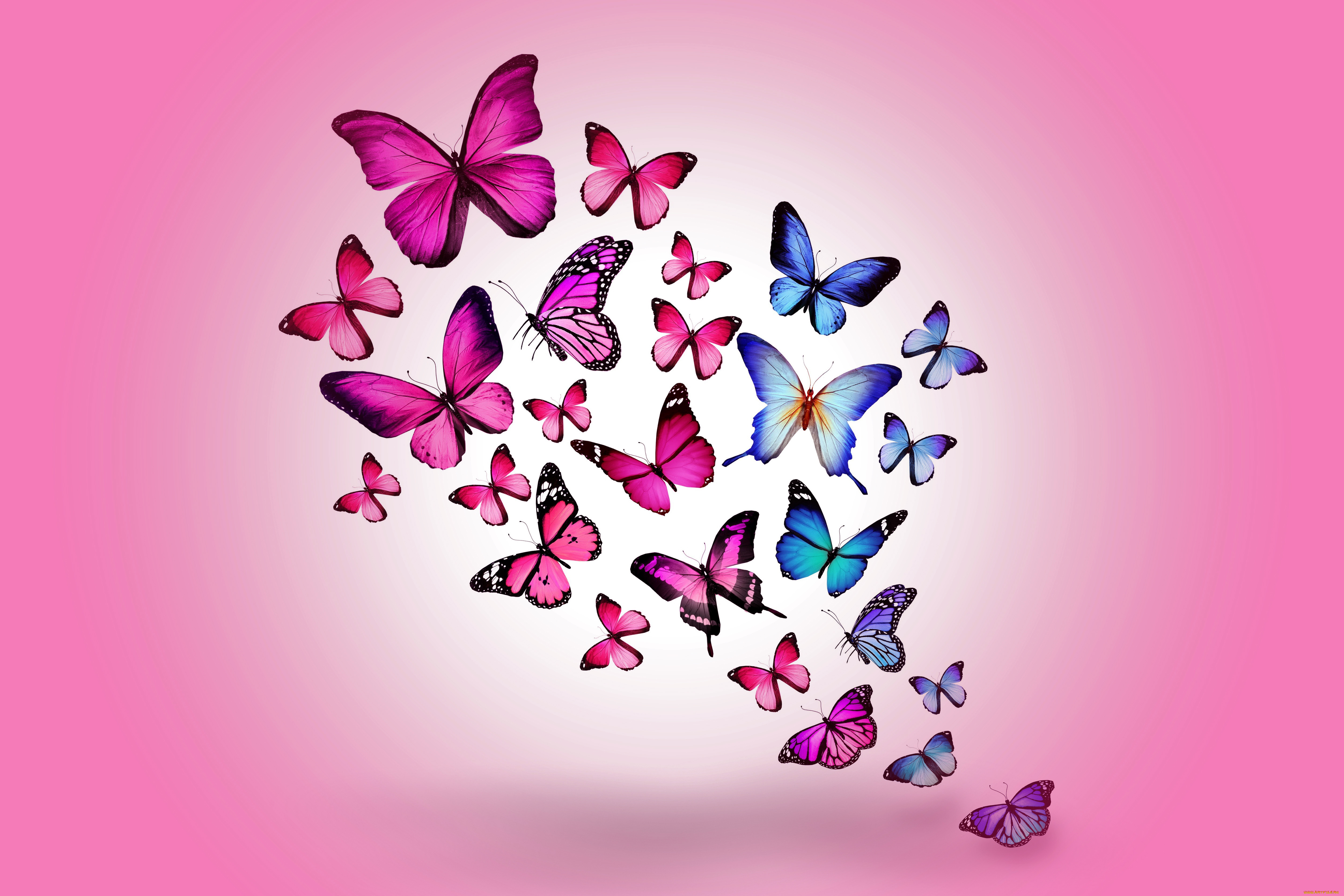 , ,  , colorful, marika, design, butterflies, , blue, pink